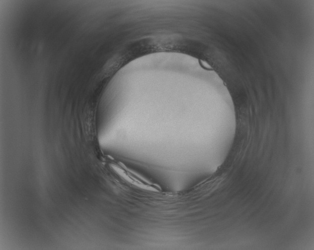 X0000060230139200511241317