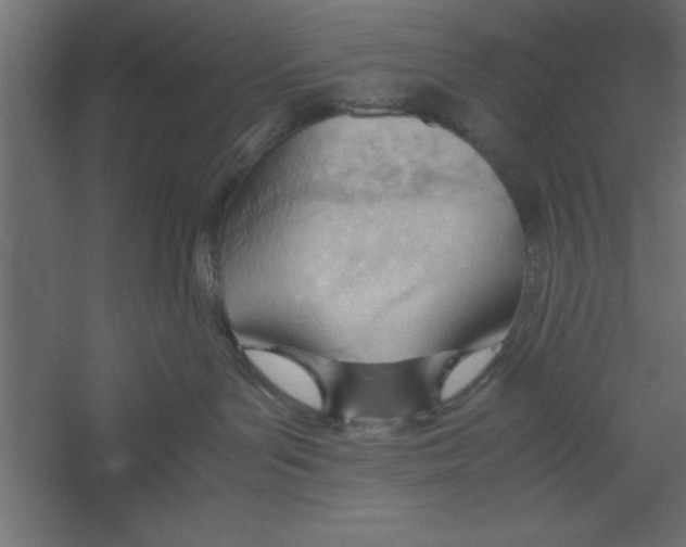 X0000060230143200511241317