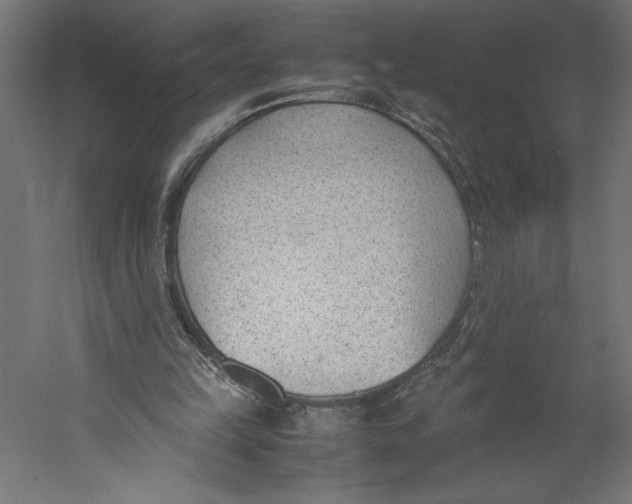 X0000060230149200511241316