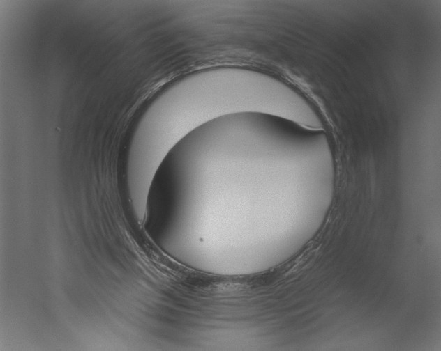 X0000060230154200511241316