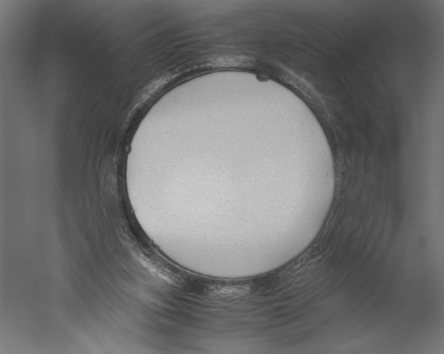X0000060230155200511241316