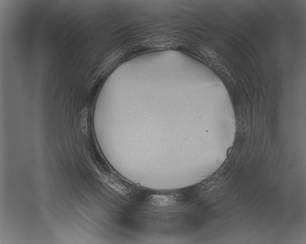 X0000060230167200511241316