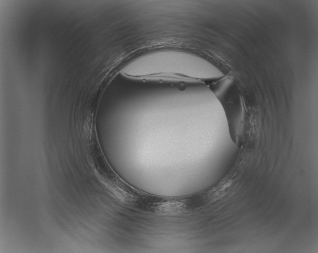 X0000060230168200511241316