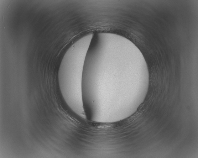 X0000060230172200511241316