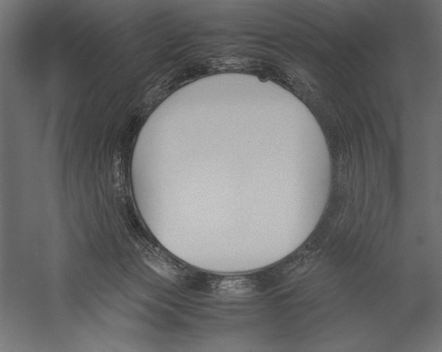 X0000060230173200511241316