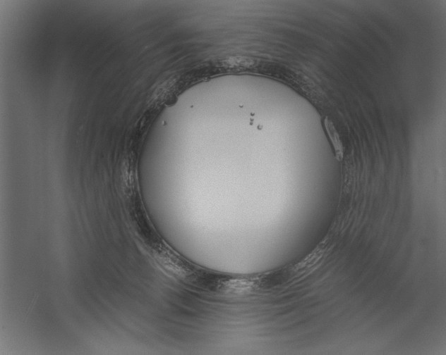 X0000060230176200511241316