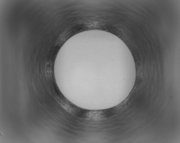 X0000060230179200511241316