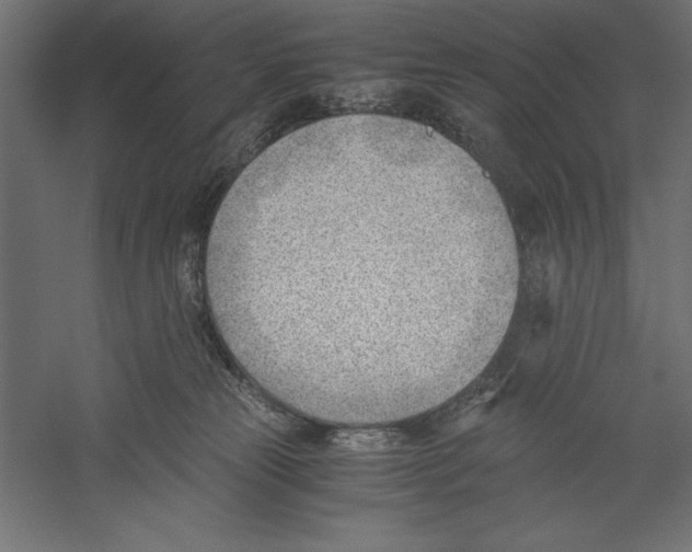 X0000060230181200511241316