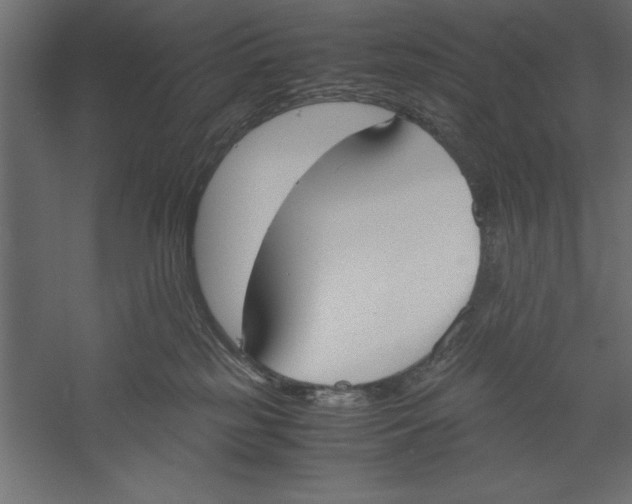 X0000060230185200511241316