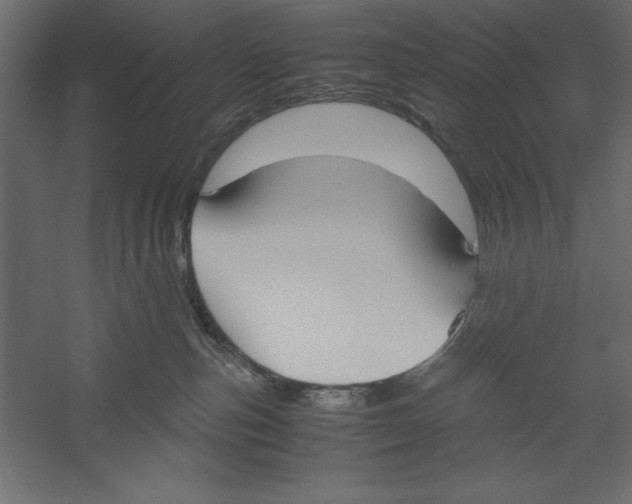 X0000060230187200511241316