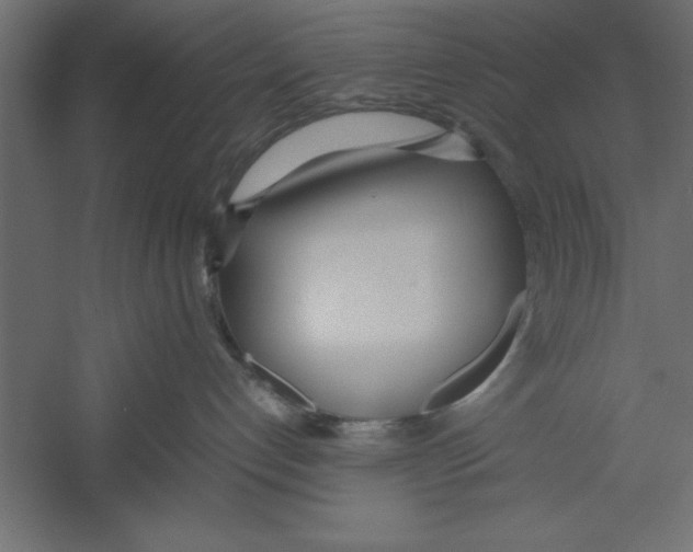 X0000060230192200511241316