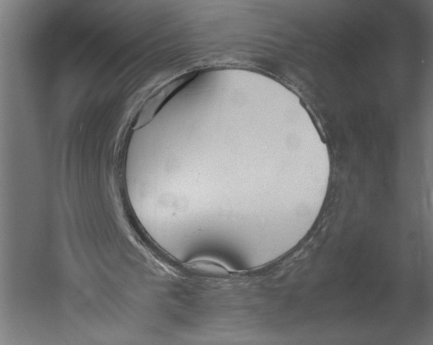 X0000060230193200511241316