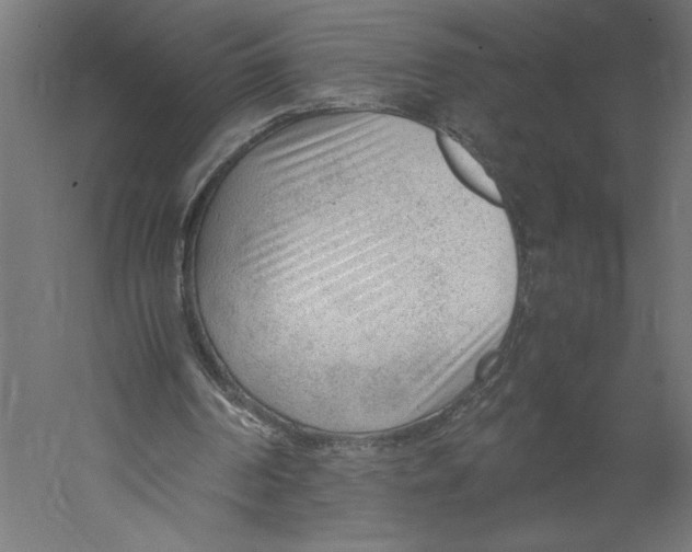 X0000060230194200511241316