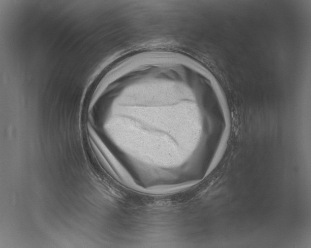 X0000060230196200511241316