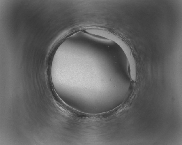 X0000060230197200511241316