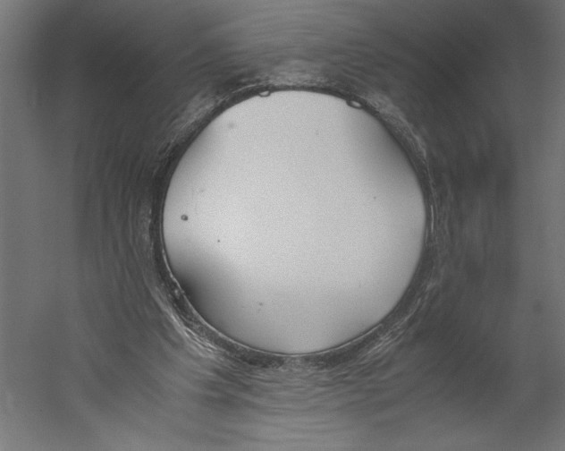 X0000060230201200511241315