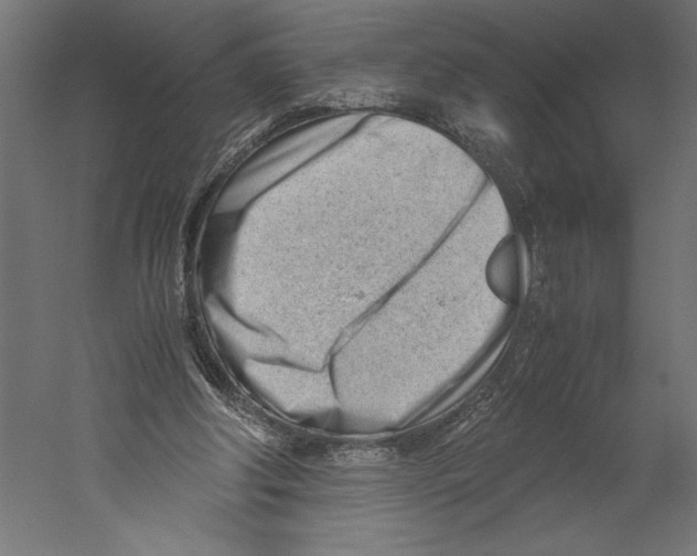 X0000060230202200511241315