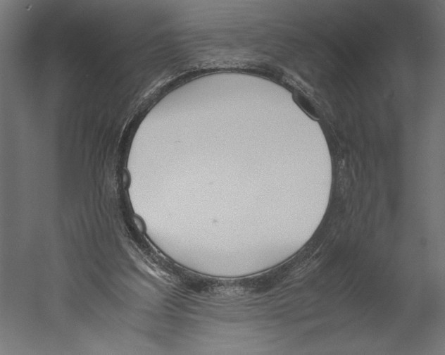 X0000060230203200511241315