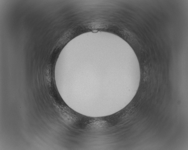 X0000060230210200511241315