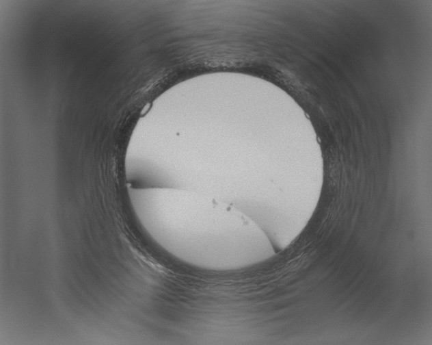 X0000060230211200511241315