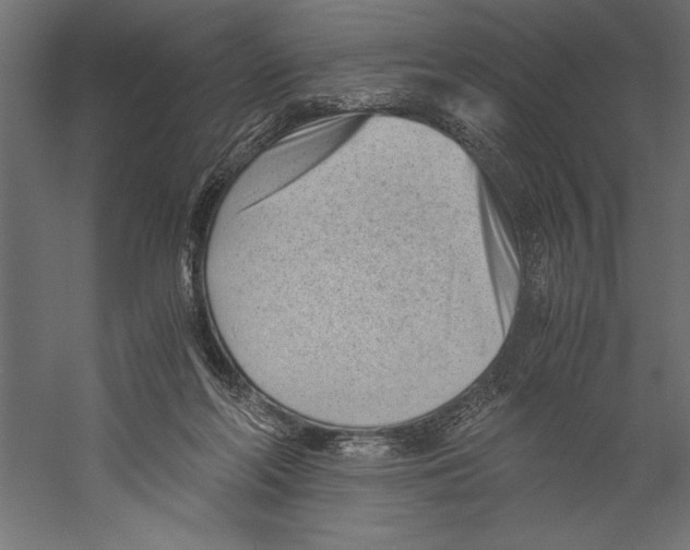 X0000060230214200511241315