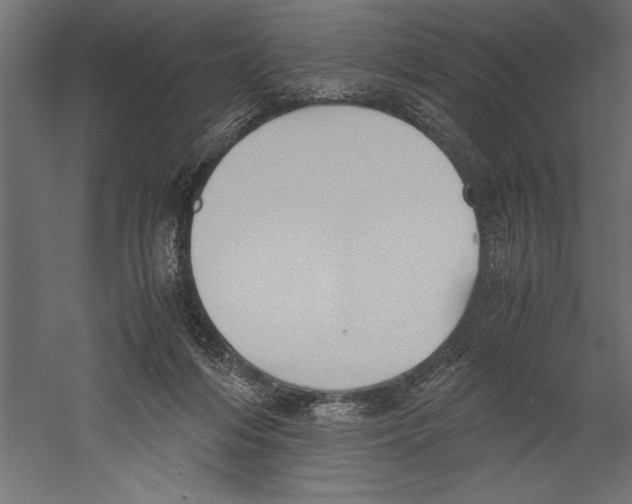 X0000060230216200511241315