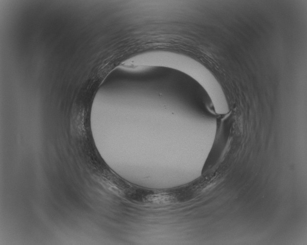 X0000060230219200511241315
