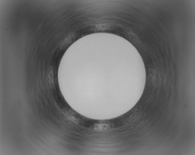X0000060230220200511241315