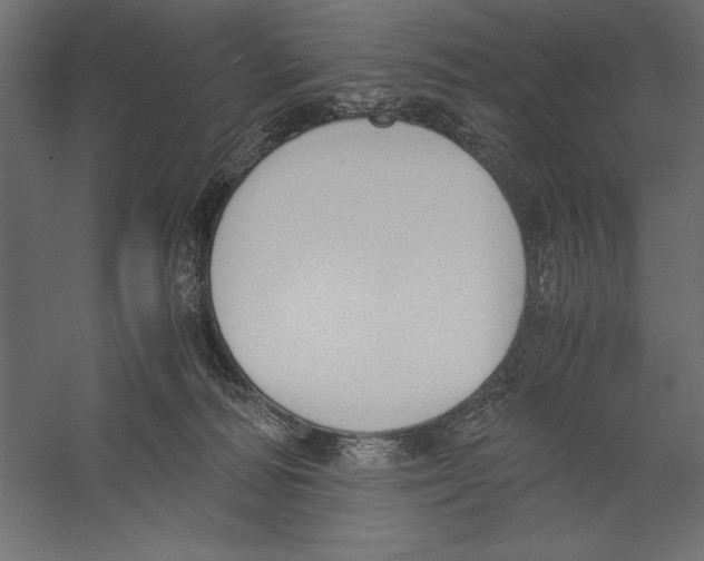 X0000060230226200511241315