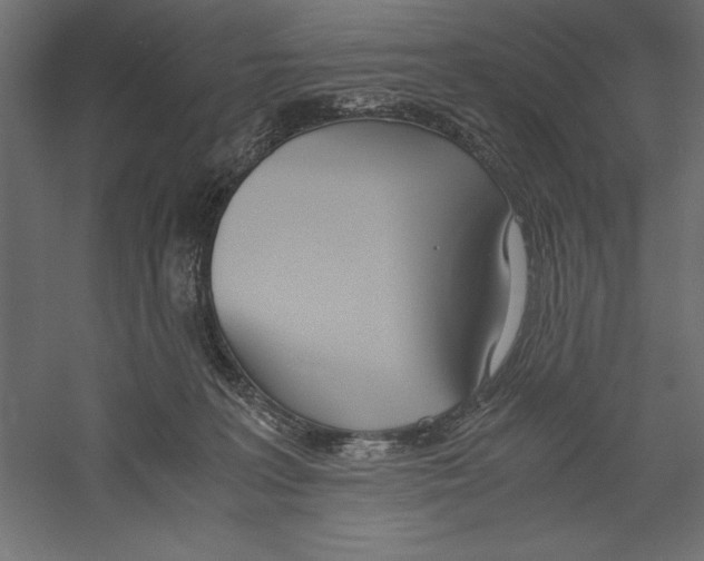 X0000060230227200511241315