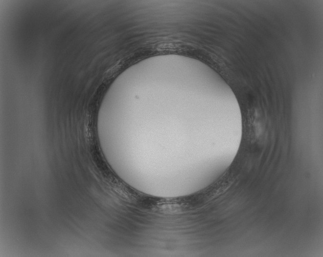 X0000060230228200511241315