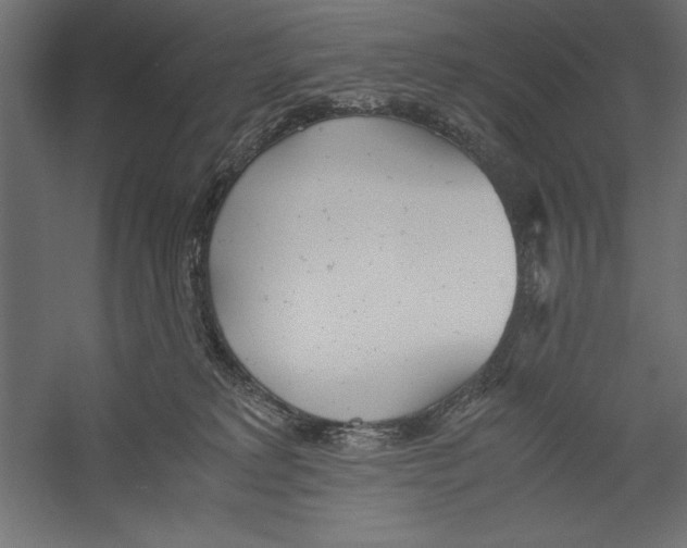 X0000060230229200511241315