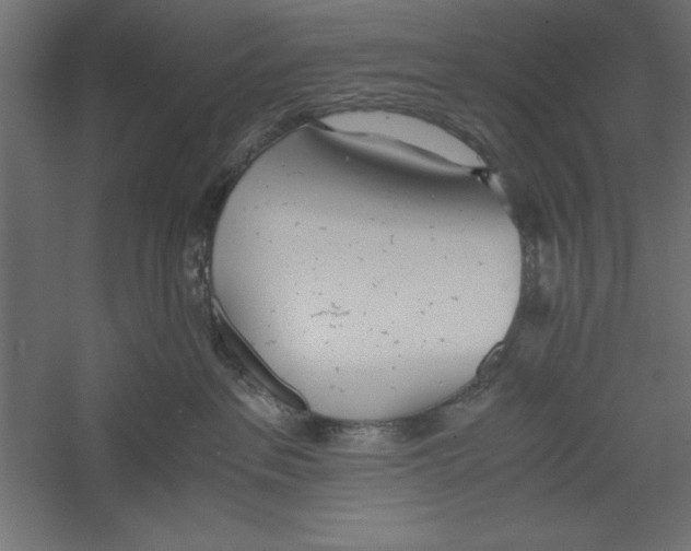 X0000060230237200511241315