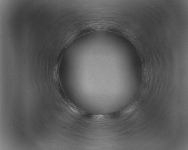 X0000060230239200511241315