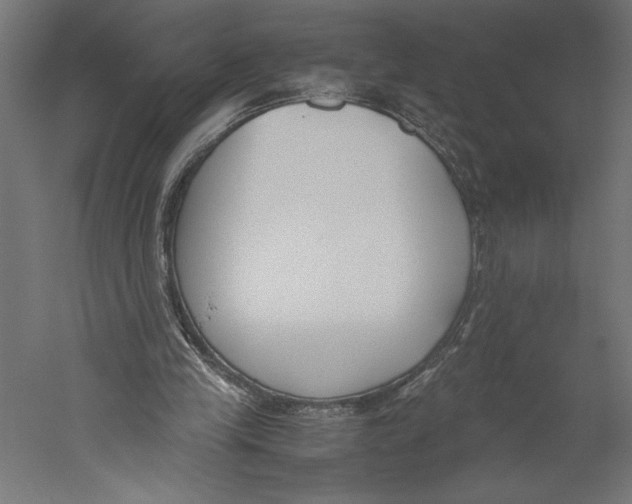 X0000060230245200511241314