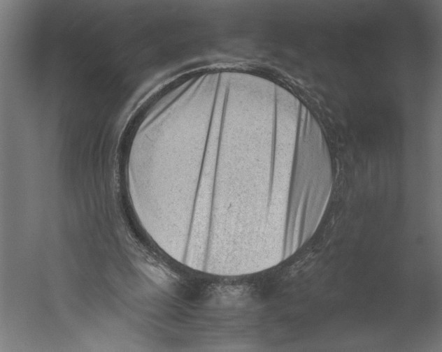 X0000060230247200511241314