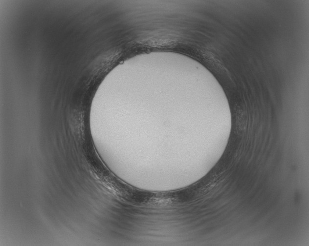 X0000060230260200511241314