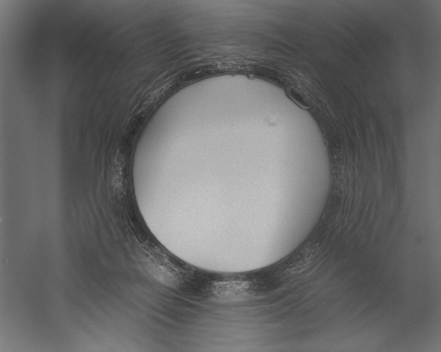 X0000060230266200511241314