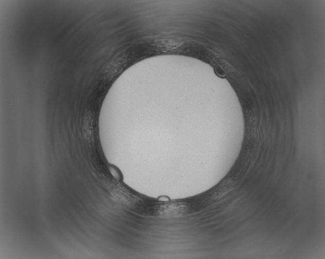 X0000060230274200511241314