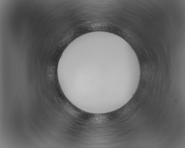 X0000060230278200511241315