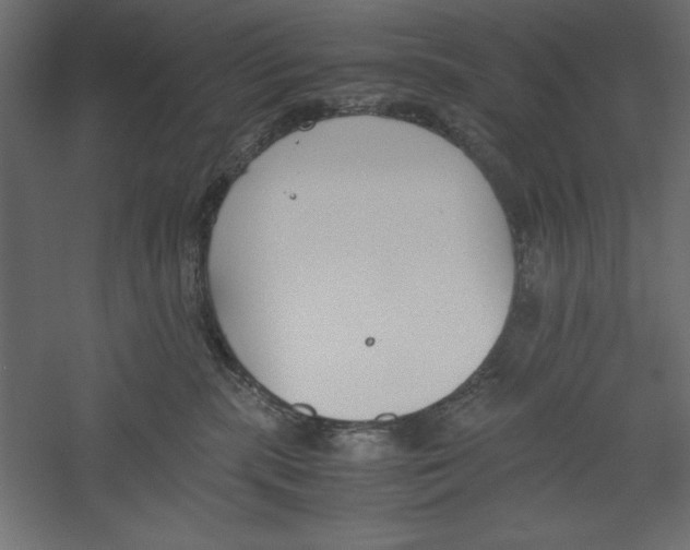 X0000060230283200511241315