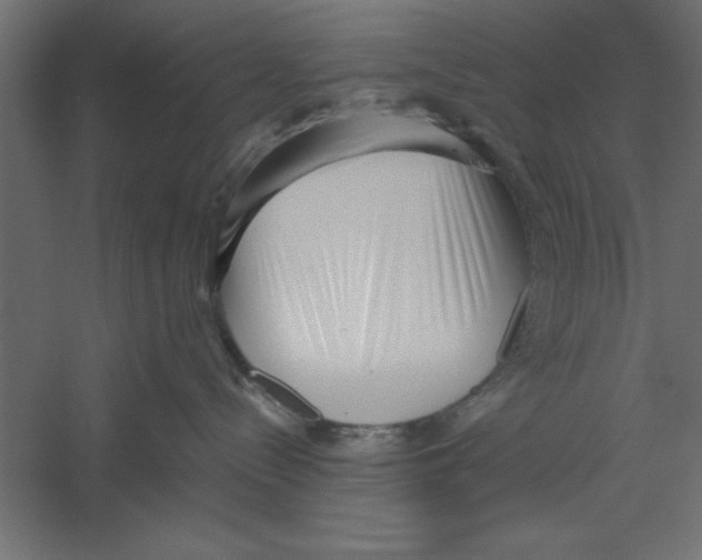 X0000060230288200511241315
