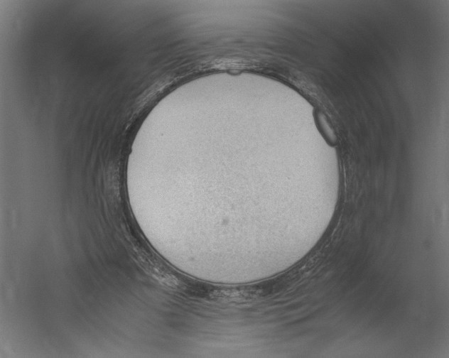 X0000060230297200511241314