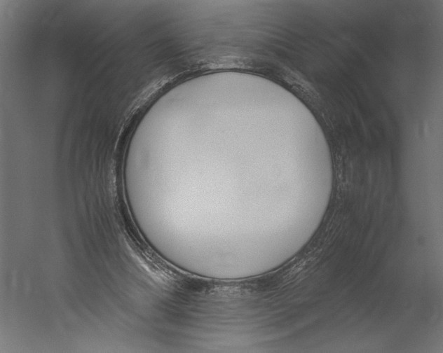 X0000060230298200511241314
