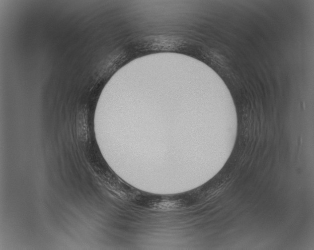 X0000060230312200511241313
