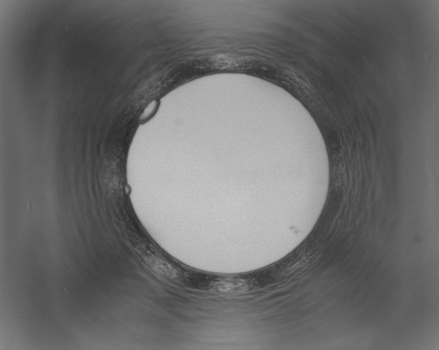 X0000060230317200511241313