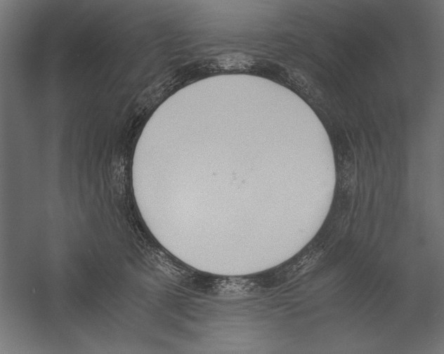 X0000060230321200511241313