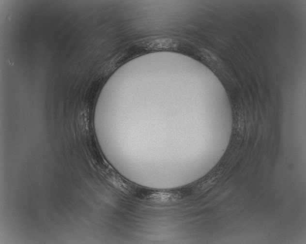 X0000060230326200511241313