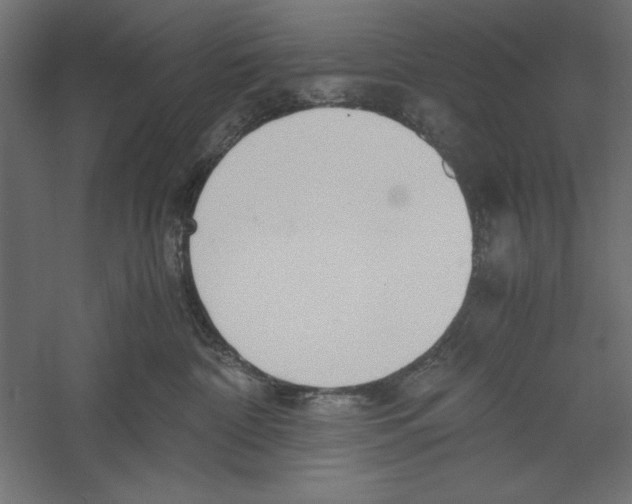 X0000060230332200511241313