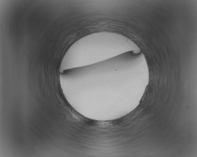 X0000060230333200511241313